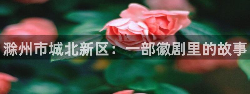 飘雪电视剧电影网影院