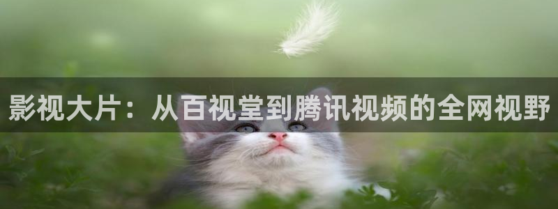 飘雪影视最新电影