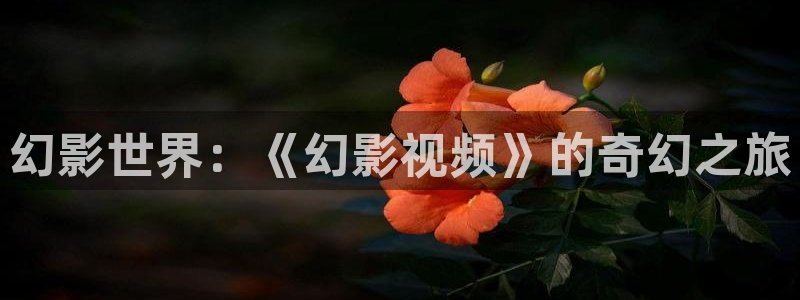 飘雪电影在线免费观看