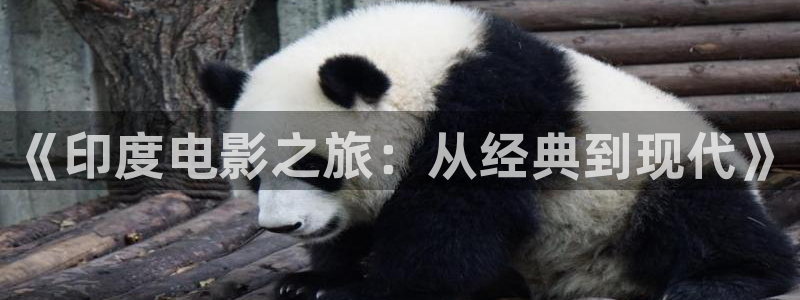 飘雪电视剧电影网